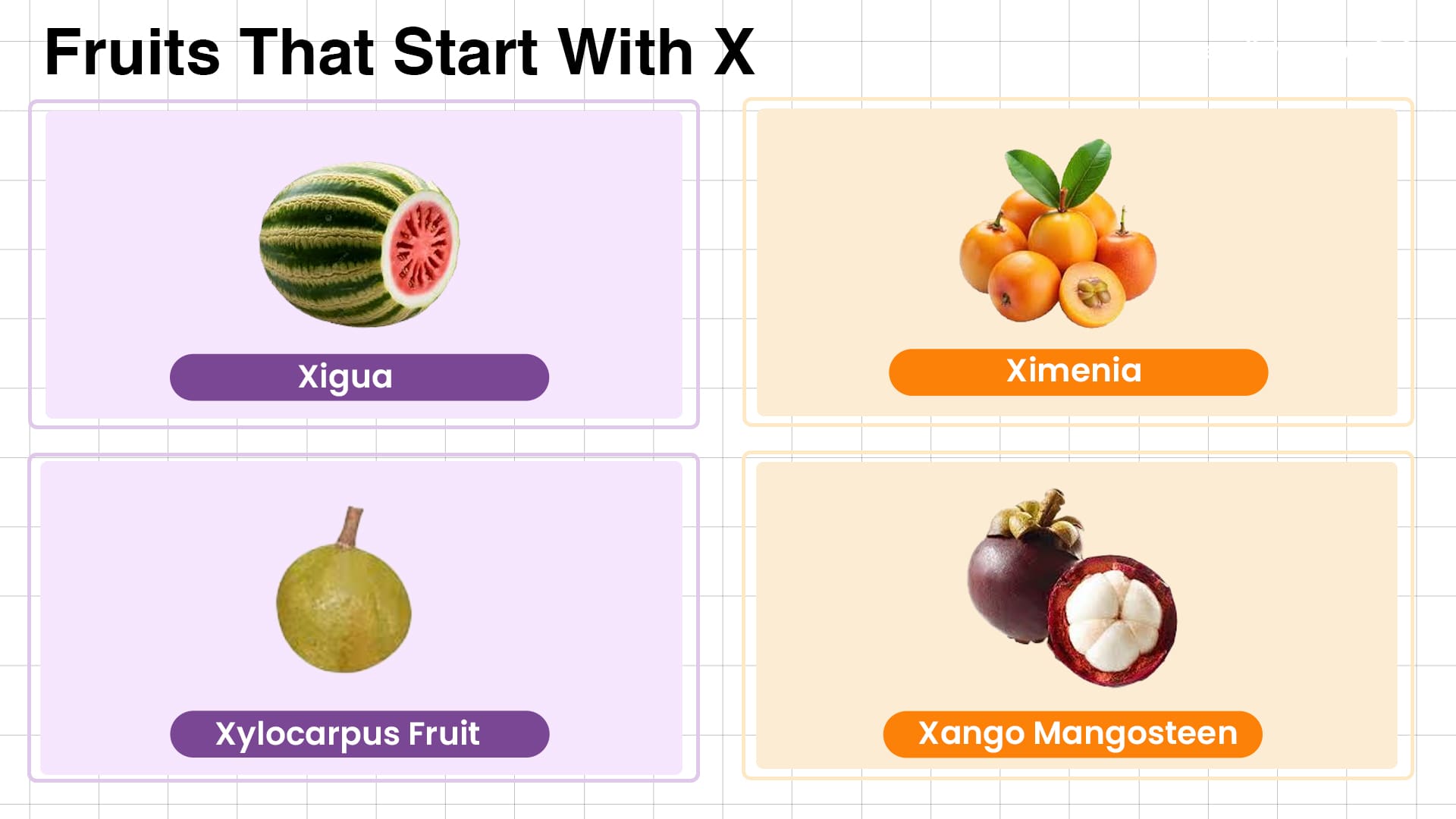 Ximenia & More: The Ultimate Guide to X-Fruits